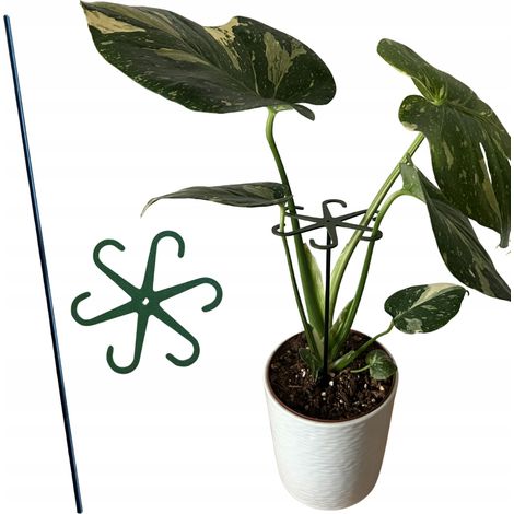 Supporto per piante e fiori, supporto robusto, pinza di supporto con asta S 10 cm (1/5)