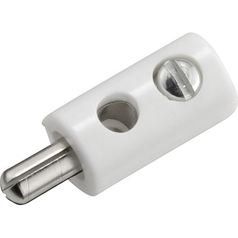 Kahlert Licht  Miniatur-Bananenstecker Stecker, gerade Stift-Ø: 2.6 mm Weiß 1 St.