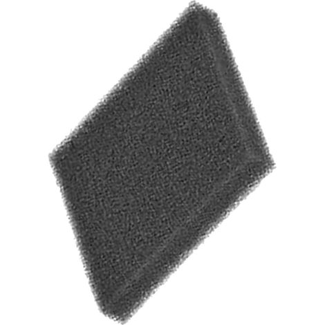 Filtre sortie d'air d'origine Aspirateur 00602805 BOSCH (1/2)