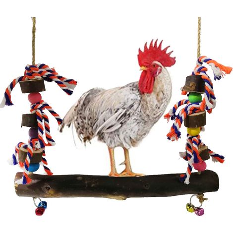 Bunte Holzschaukel für den Hühnerstall – Kauspielzeug für Geflügel und Vögel (1/5)