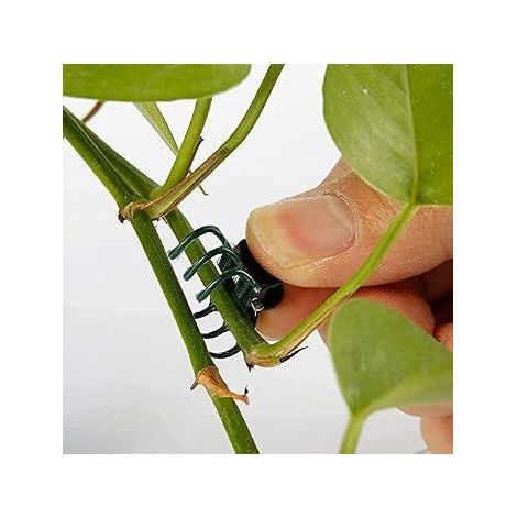 100 Stück Kunststoff-Pflanzenstützclips für den Garten, Blumenstiele, Gartenwerkzeuge, vertikale Wachstumsclips für Orchideen (1/5)