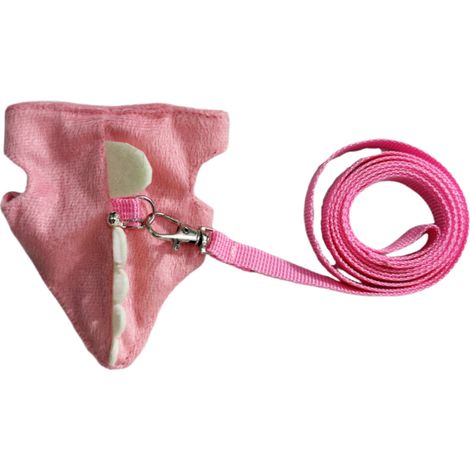 Corde de traction furet, gilet ajustable, forme dinosaure avec clochette, pour petit animal (souris) (1/5)