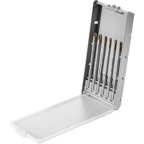 Festool – 577399 – Coffret d'embouts BKS SYS3 100mm – 6 pièces pour vissage bois, métal et plastique – Nickelé pour durabilité (1/6)