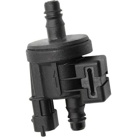 Compatible avec C1B1-9G866-AA C1B19G866AA 0280142517-Good Version 0617 électrovanne de purification des gaz d'échappement et de la vapeur (1/4)