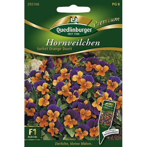 Quedlinburger Saatgut – Pensée cornue « Sorbet Orange Duett » – Graines de fleurs, orange et violet, bisannuelle, 20 cm