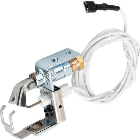 Couvercle de veilleuse 002003F pour chauffe-piscines et spas Raypak (gaz naturel et propane), remplace les modèles 106A, 206A, 266A, 336A, 406A et 405B-JBMEDIA (1/4)
