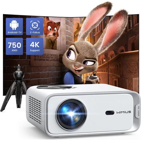 Projecteur 4K - ZIG-ZAG TERRITOIRES - 28000 Lumens - WiFi 6 - Bluetooth 5.2 - Zoom 50-100% (1/5)