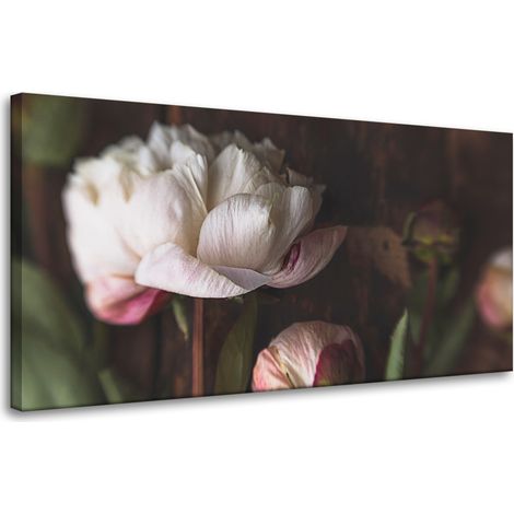 Leinwanddruck Botanik Blume Pfingstrosen 80x40 cm Blumenstrauß Flora