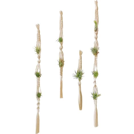 4 supports pour plantes aériennes, macramé avec pompons, suspension, jardinière murale (1/5)