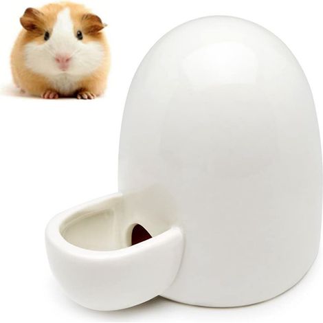 1 distributeur d'eau pour petits animaux, céramique, silencieux, abreuvoir fixe pour hamster, rat, hérisson, chinchilla et oiseaux (1/5)