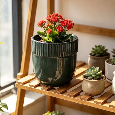 Pot de fleurs Ø 23 cm en céramique artisanale, vert foncé brillant, relief strié, intérieur et extérieur (1/5)