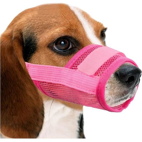 Muselières pour Chiens Muselière Anti-Aboiements et Anti-Morsures(M, Rose) (1/3)