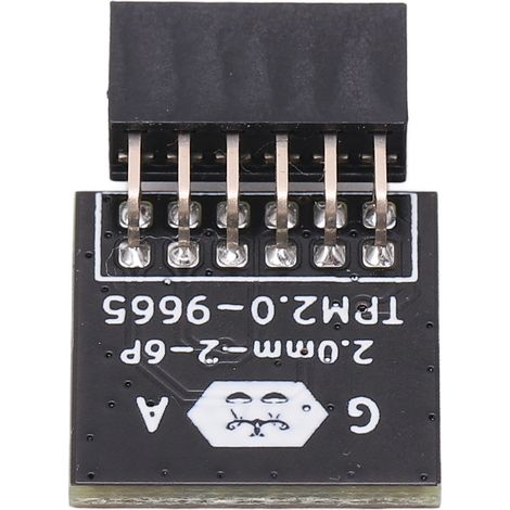 Module de sécurité cryptographique TPM 2.0 12PIN pour carte à distance GIGABYTE, module de chiffrement de sécurité. (1/5)