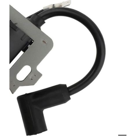 Bobine D Allumage - Bougie D Allumage - Pour Moteur Tondeuse Honda GCV135 GCV160 GCV190 GSV160 GSV190 GC135 GC160 GC190 - Lot De 1 Bobine Et 2 Bougies (1/4)