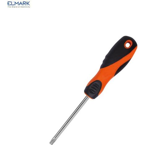 CACCIAVITE TORX T25X100MM