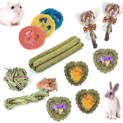 Chew Toys for Rabbit, Chinchilla, Guinea Pig, Hamsters, Holland Lop, Small Rodents, Pets 16 Pack (1/5)