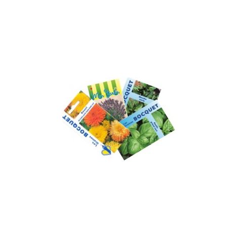 Lot de 4 sachets de graines anti-moustiques – Graines de lavande, basilic, souci et menthe – Pour semis sur terrasses et balcons – Graines Bocquet