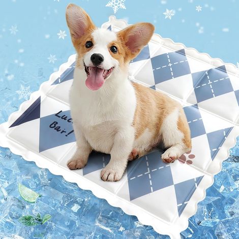Tapis rafraîchissant pour animaux 35x35 cm, coussin d'été auto-rafraîchissant pour chiens et chats, gel non toxique, sans eau ni électricité, facile à laver (1/5)
