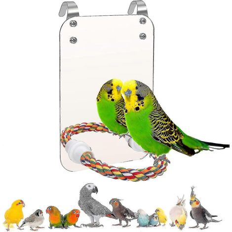 Support pour oiseau avec miroir intégré, jouet pour perroquet, miroir pour cage de perruche, miroir pour perroquet avec corde (1/5)