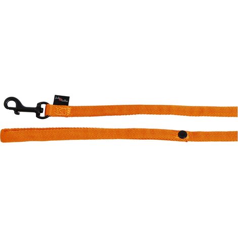 Laisse pour Chien, Modèle Comfort Tube Nylon, Couleur Orange, Taille M, 20 mm x 152 cm