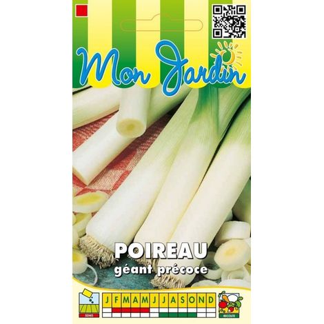 Poireau géant précoce - 4g