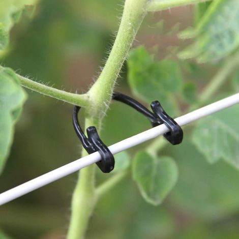 200 pinzas para plantas, ganchos para enredaderas, pinzas de plástico, herramientas agrícolas para tomates, jardinería (1/5)