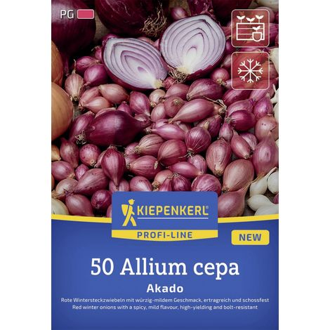 Kiepenkerl Pflanzgut Rote Wintersteckzwiebel Akado 50 Stück (1/2)