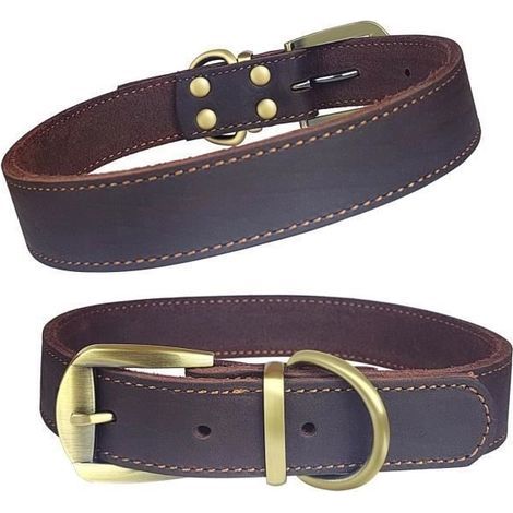 (l)Qianruida Hundehalsband aus echtem Leder, verstellbar - L (1/5)