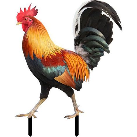 Statue De Coq - Support De Jardin En Acrylique Plat - Décoration Extérieure Pour Allée Patio Pelouse - Ornements De Noël - 1 Pièce (1/5)