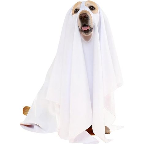 Ropa para gatos, Perros de Halloween, Sombrero, Traje para gatos, Ropa para gatos, Alfombra de Halloween para perros o gatos, Halloween, Talla S (1/5)