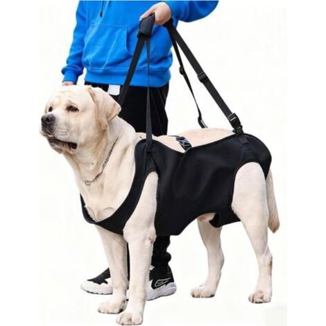Harnais de Levage/Transport pour Chien, Harnais de Levage pour Chien, Harnais Chien de Levage, Support Sécurité Jambe Arrière, pour Chiens Âgés, Blessures Articulaires, Arthrite (M)