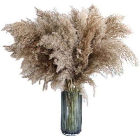 Herbe de la pampa, 20 pièces, 60 cm, séchée naturellement, mariage, bouquet tendance, fleurs artificielles, pour décoration intérieur, vases intérieur