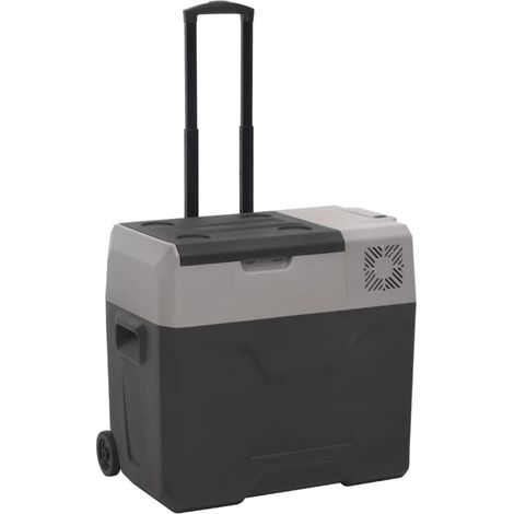 Nevera con ruedas y asa polipropileno negro y gris 30 L