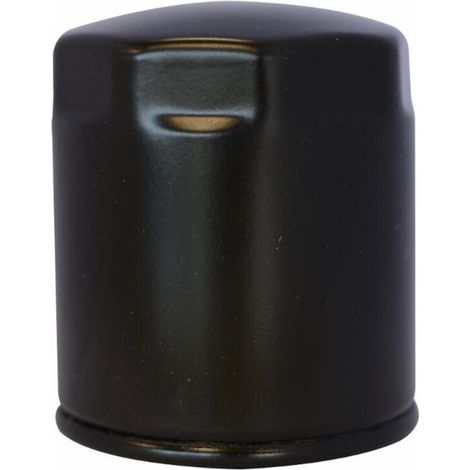 Cartouche filtre Gasoil 2175.045 adaptable LOMBARDINI RUGGERINI