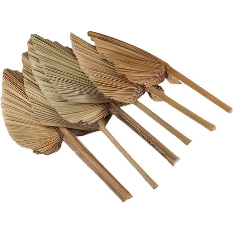 Six éventails en feuilles de palmier séchées naturelles, grandes branches de palmier, parfaits pour une décoration de mariage de style bohème, feuilles de palmier tropicales. (1/5)