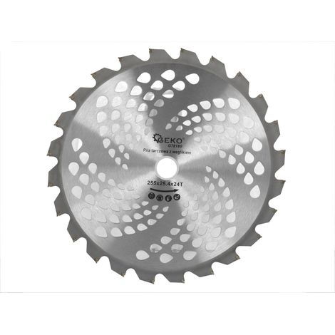 Disco con punte in carburo per decespugliatore a benzina 255x25,4mmx24T (50) (1/3)