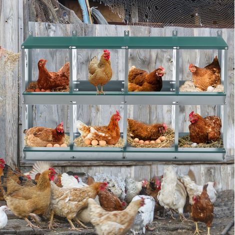 Nido de puesta para gallinas 8 compartimentos 108x41x67 cm metal verde, mural - MEUBLIV (1/5)