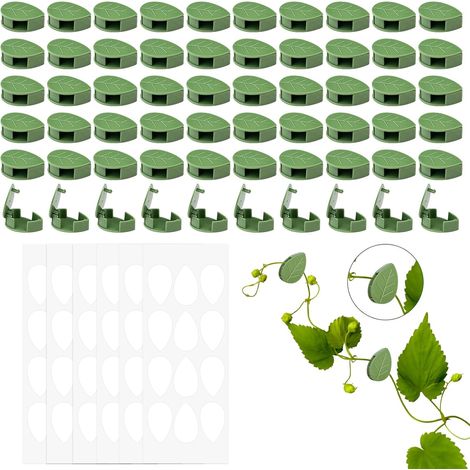 60 Pièces Clip Plante Grimpante, Clip de Fixation Végétale Auto-Adhésif, Clips de Support pour Plantes Grimpantes, Clips Feuilles pour Plantes Invisible, Clip pour Plante Muraux de Jardin (1/5)