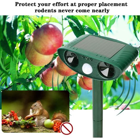 Repellente per gatti ad ultrasuoni alimentato ad energia solare, repellente per animali, repellente per animali da giardino per allontanare gatti, cani, uccelli, martore. (1/5)