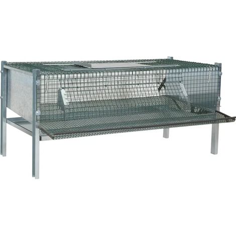 Cage en maille galvanisée pour cailles pondeuses (mini) (1/3)