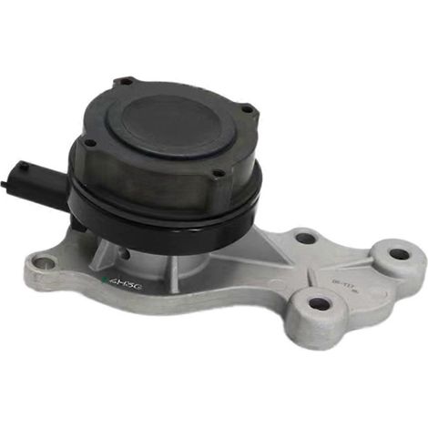 24106272 Elektrische Wechselrichter-Wasserpumpe für Autos (für Excelle)