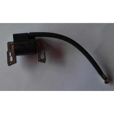 Bobine d'allumage Briggs & Stratton 797040 Bobine d'allumage haute tension Pack allumeur (1/2)