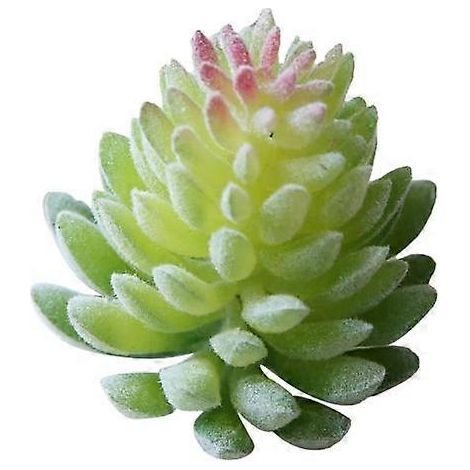 plante succulente artificielle en plastique, style bonsaï, pour la décoration du jardin, de la maison ou du bureau.B (1/2)