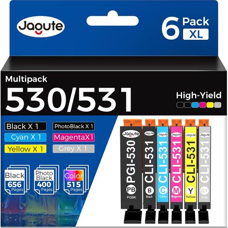 Cartouche d’Encre 530 531 XXL Compatible avec Canon PIXMA TS8750 TS8751 (1/5)