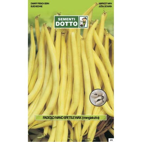 SEMENTI FAGIOLO BRITTLE WAX NANO