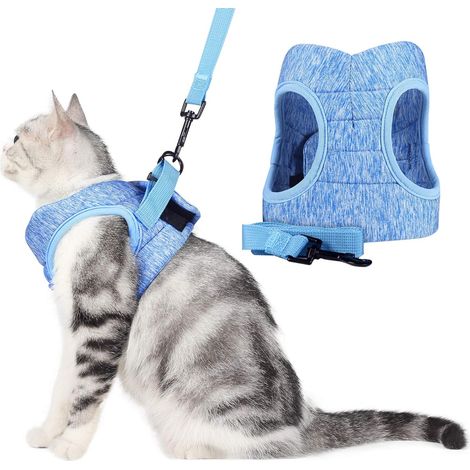 Veste de marche ajustable pour chat avec ceinture rétractable (M, bleu)