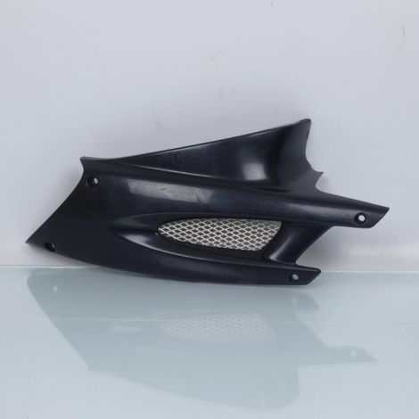 [GEBRAUCHT] [GEBRAUCHTWAREN] Rechter Seitenschutz Original für Scooter (1/5)
