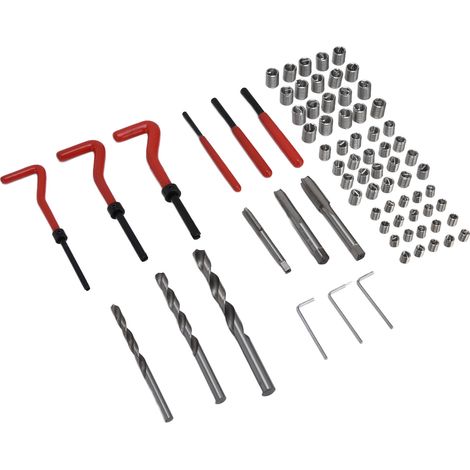 Kit de Réparation de Filetage 75 Pièces, Outil de Restauration Clé à Molette Forets pour Pas de Vis M6x1.0 M8x1.25 M10x1.5 (1/5)