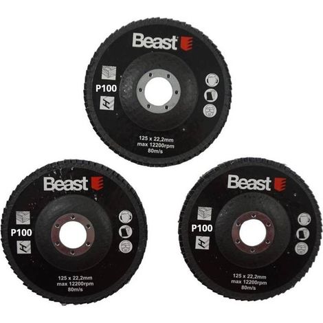 Disques Abrasifs P100 125/22 mm - 3 Pcs - Performance Élevée - Idéal pour Ponçage - Haute résistance - Beast