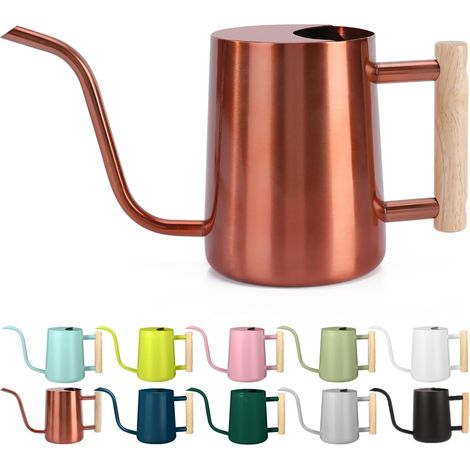 Watering Can for Indoor Plants 1L Small Indoor Watering Can Stainless Steel Modern Long Spout Watering Can for Home Bonsai Outdoor Flowers Copper (1/5)